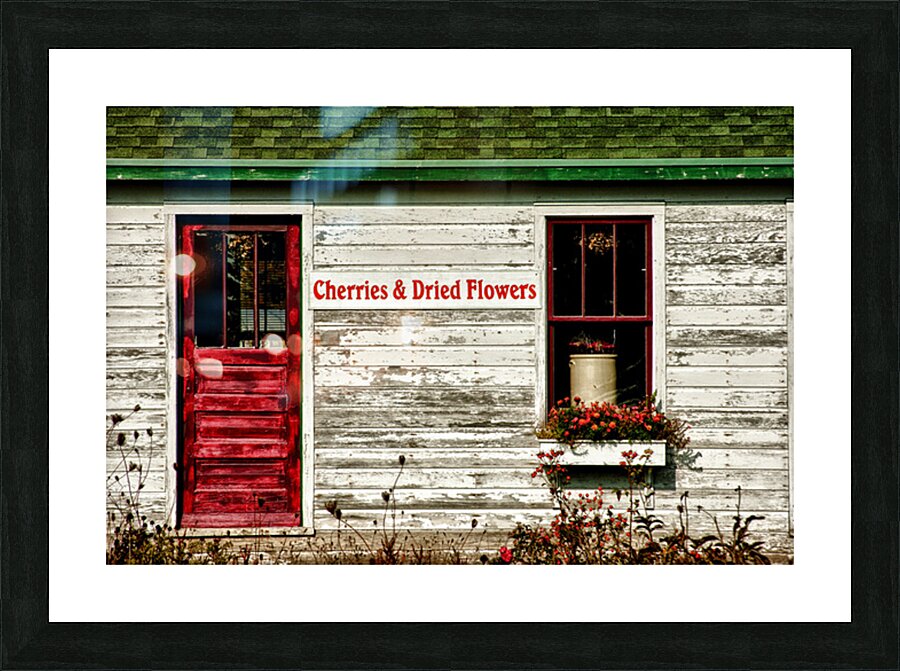 Door County Wisconsin Cherries Picture Frame print