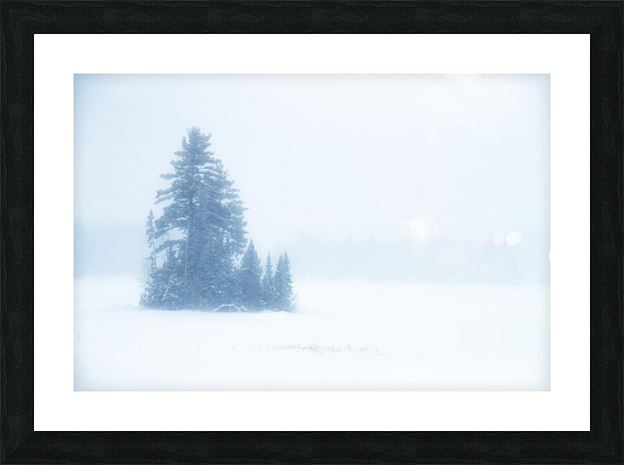 Snowy Frozen Minnesota Island Picture Frame print