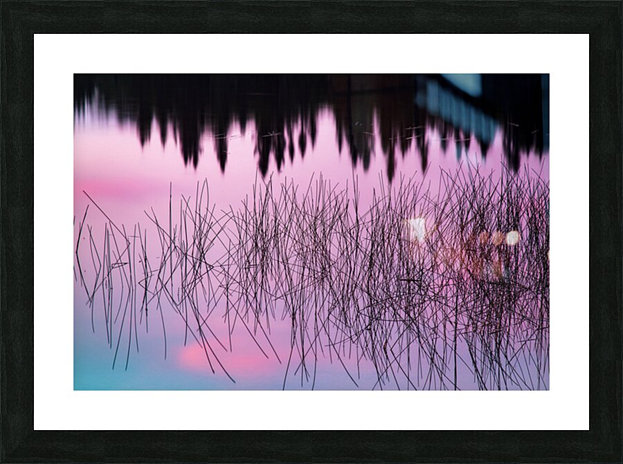 A Weedy Lake Abstract Picture Frame print