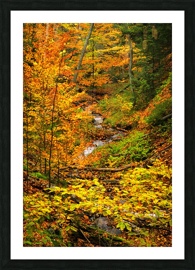 Fall in Munising Michigan Picture Frame print