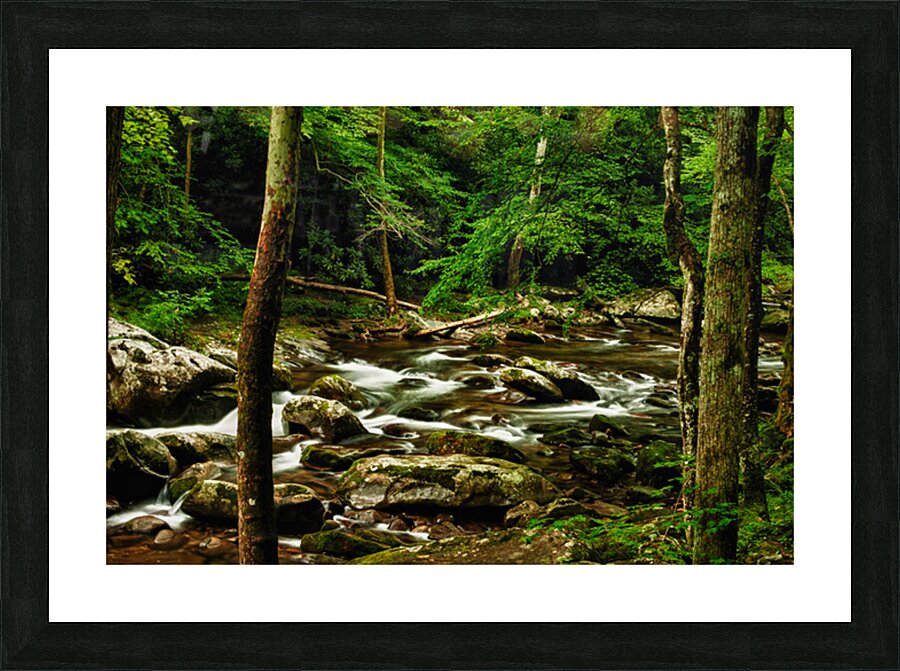 Smoky Mountain Stream Tennessee Picture Frame print