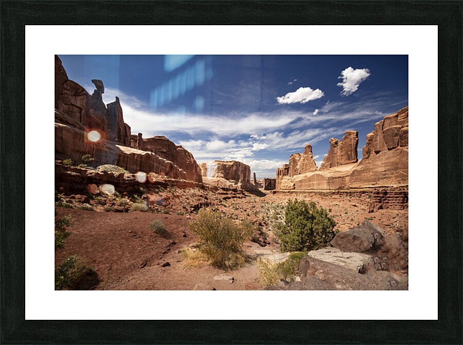 Arches National Park Wall Street Picture Frame print