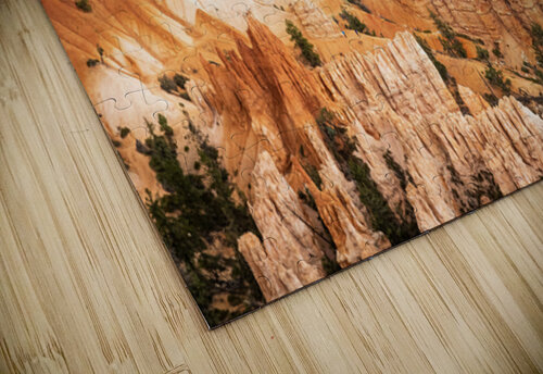 Bryce Canyon Theater Kelley McClure puzzle