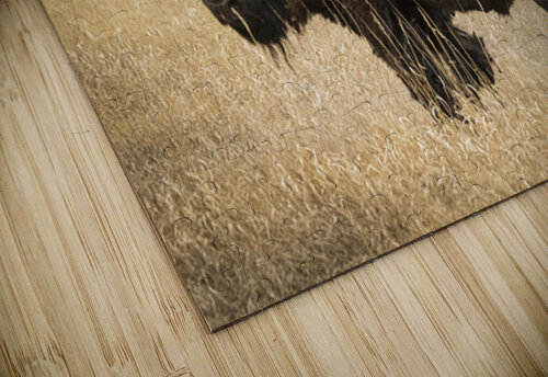 Bison of The Badlands Kelley McClure puzzle