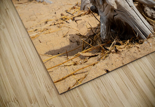 Driftwood ON the Beach Kelley McClure puzzle