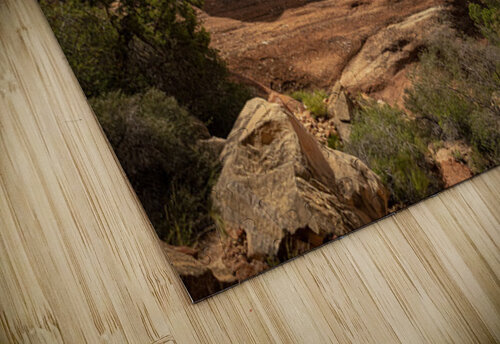 Druid Arch Canyonlands Kelley McClure puzzle
