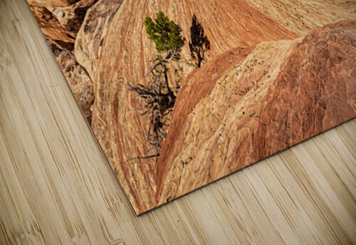 Canyonlands Outcrop Kelley McClure puzzle