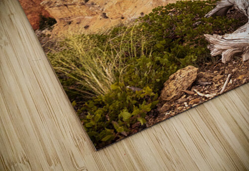 Deadwood Over Bryce Kelley McClure puzzle