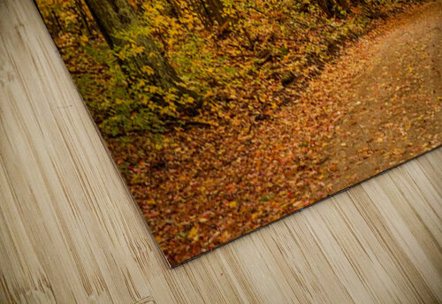 Road to Fall Kelley McClure puzzle