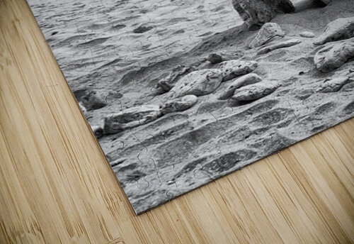 Rock Beach Kelley McClure puzzle