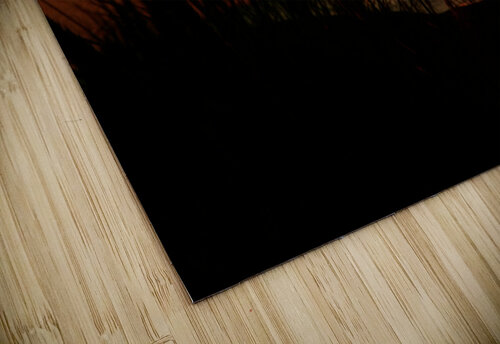 Lake Michigan Sunset Kelley McClure puzzle