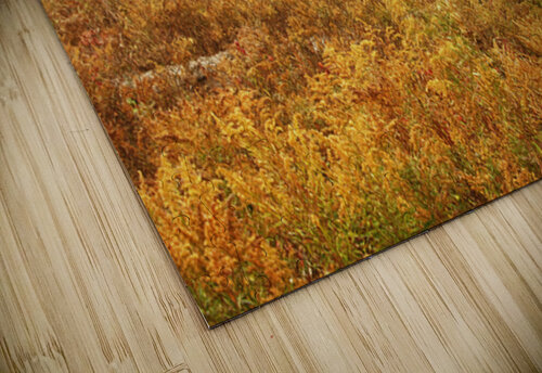 Fall Nature In Door County Wisconsin Kelley McClure puzzle