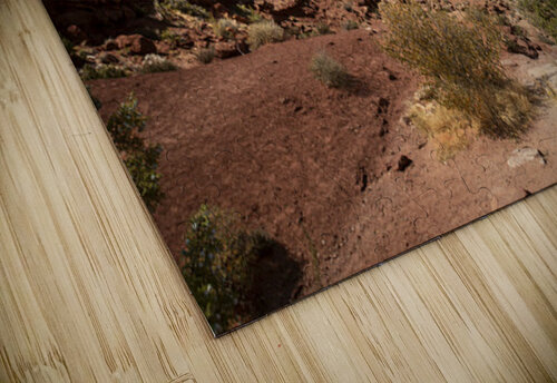 Arches National Park Wall Street Kelley McClure puzzle