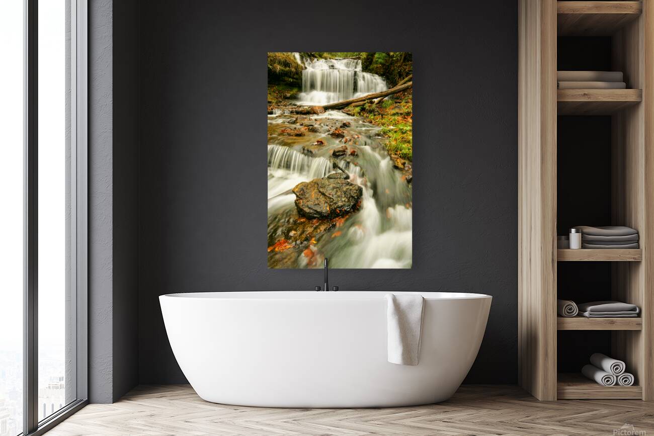 Splendors of Fall Reproduction