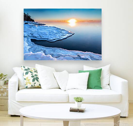 Winter of Sun Reproduction