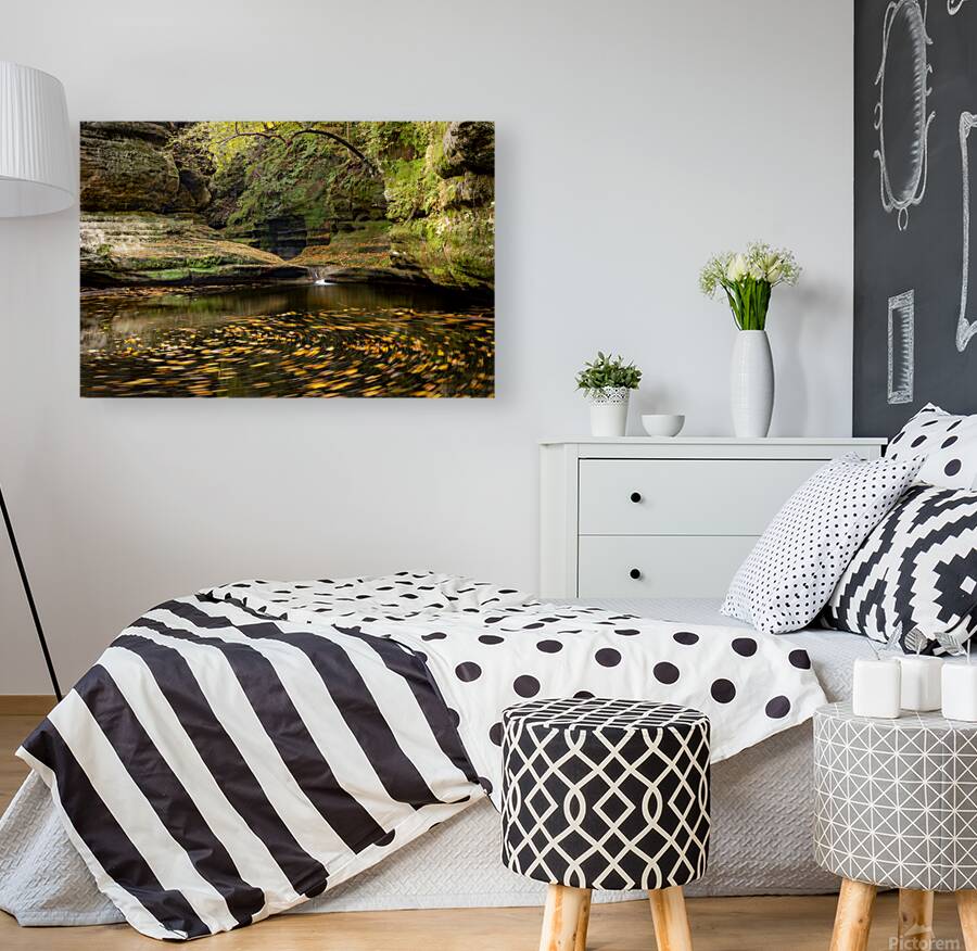 Fall In the Canyon Reproduction