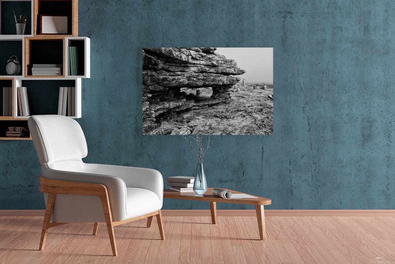 Foggy Outcrop Reproduction