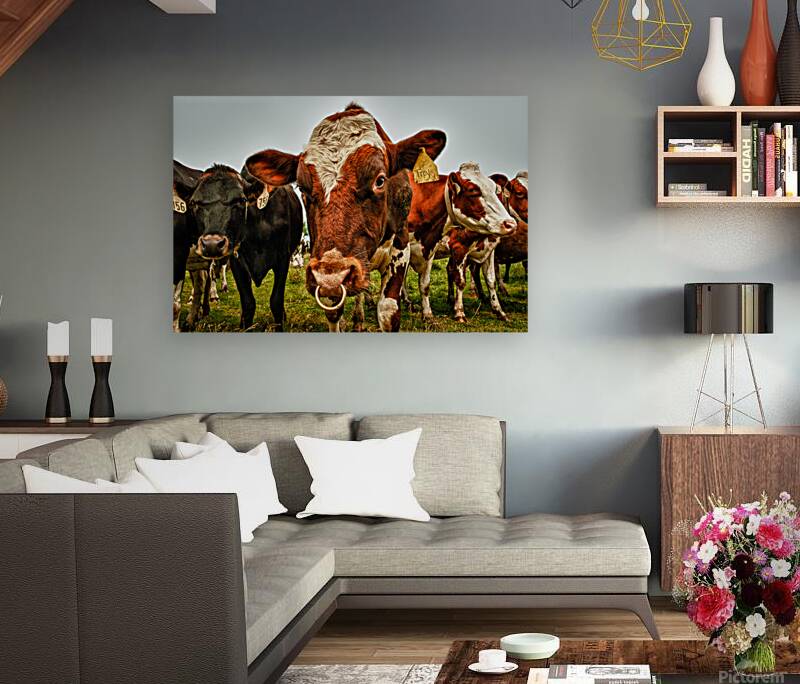 Wisconsin Cows Reproduction