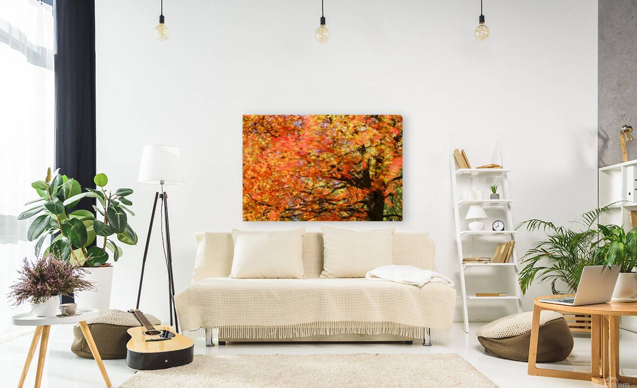 Tree on Fire Reproduction