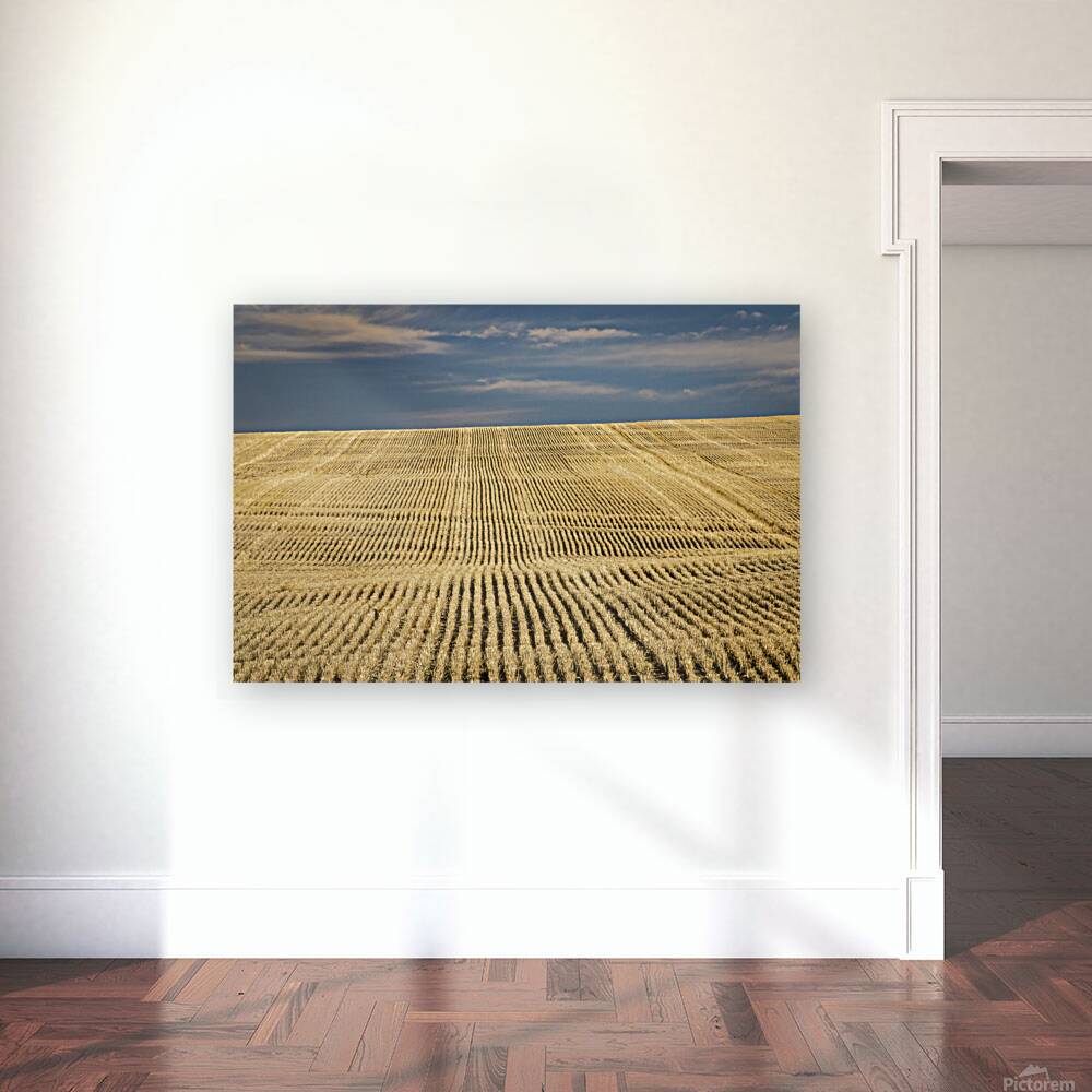 South Dakota Farm Country Reproduction