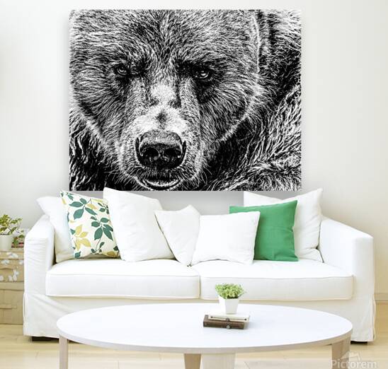 Grizzly Stare B&W Reproduction