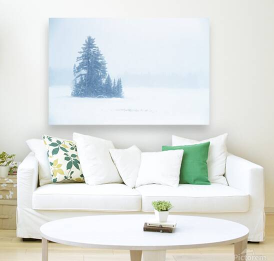 Snowy Frozen Minnesota Island Reproduction