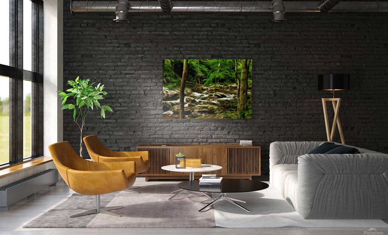 Smoky Mountain Stream Tennessee Reproduction