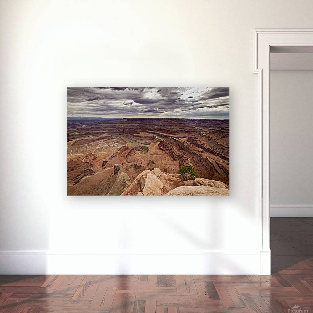 Dead Horse Point State Park Utah Reproduction