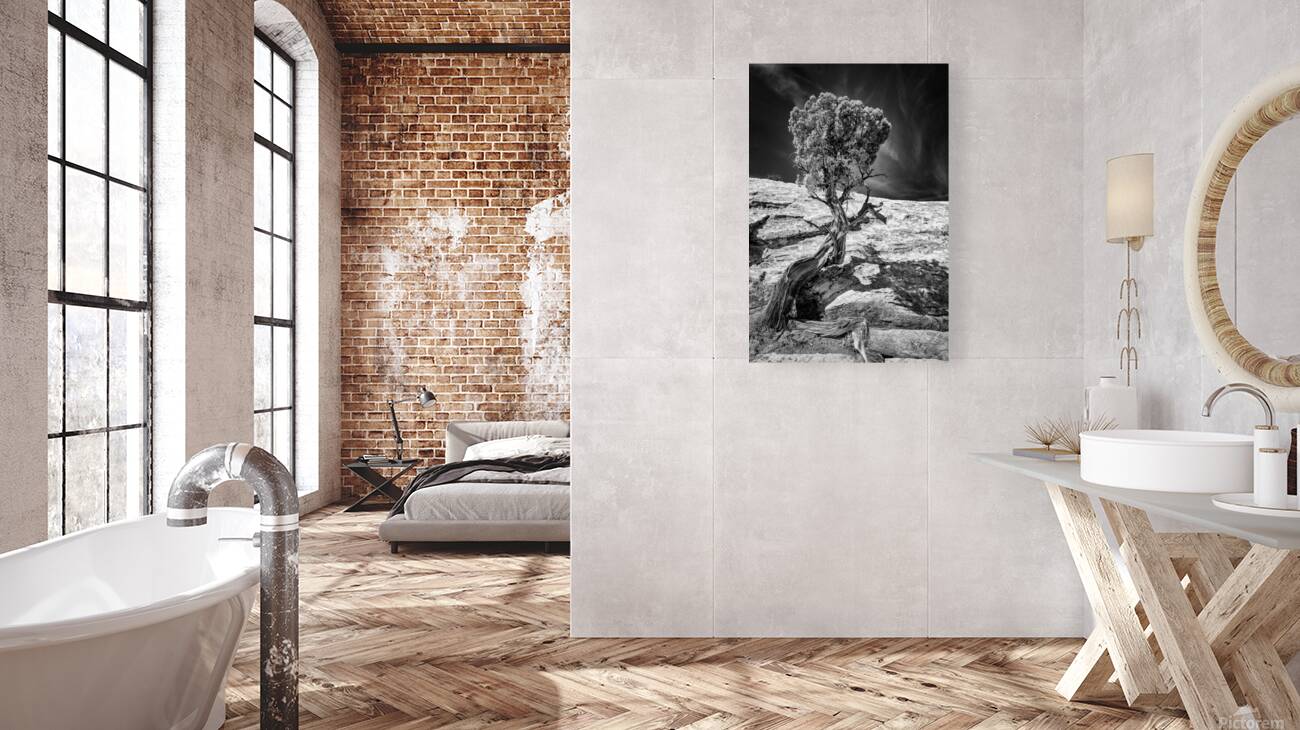 Weathered Juniper in Arches National Park Reproduction