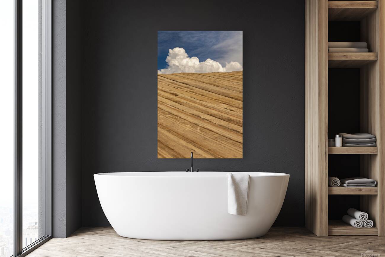 Zion Skies Reproduction