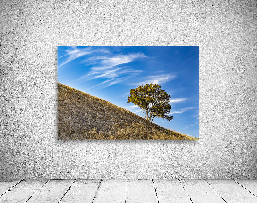 Slanted Tree Wall Preview