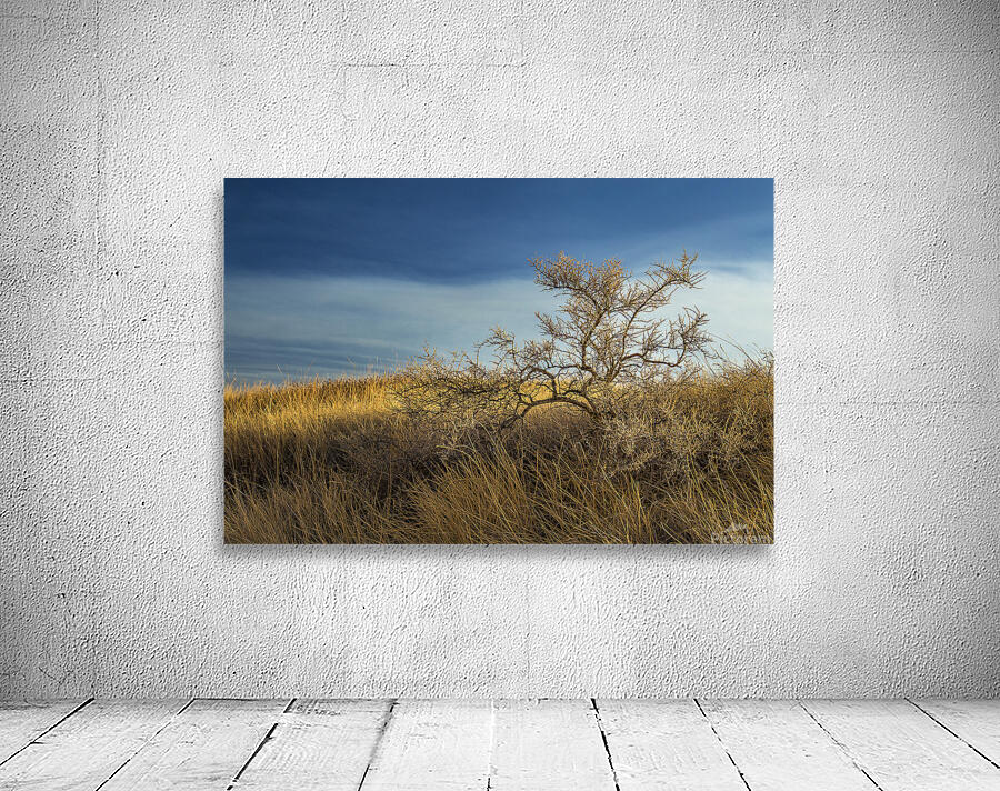 Brush In The Badlands Wall Preview