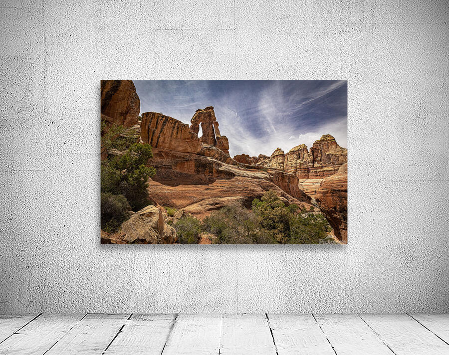 Druid Arch Canyonlands Wall Preview