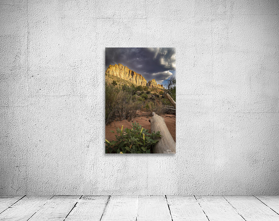 The Watchman of Zion Wall Preview