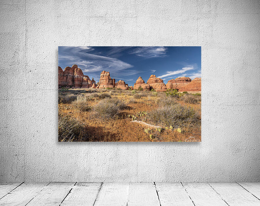 Canyonlands Theater Wall Preview