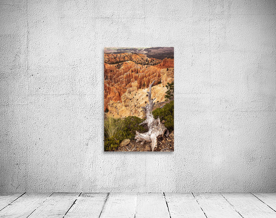 Deadwood Over Bryce Wall Preview