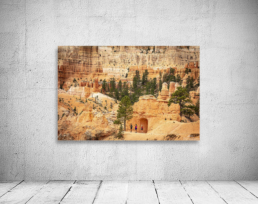 The Pathways of Bryce Wall Preview