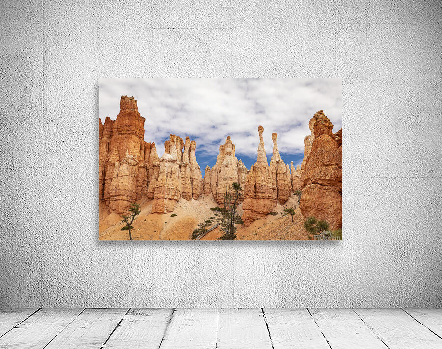 The Hoodoos of Bryce Wall Preview