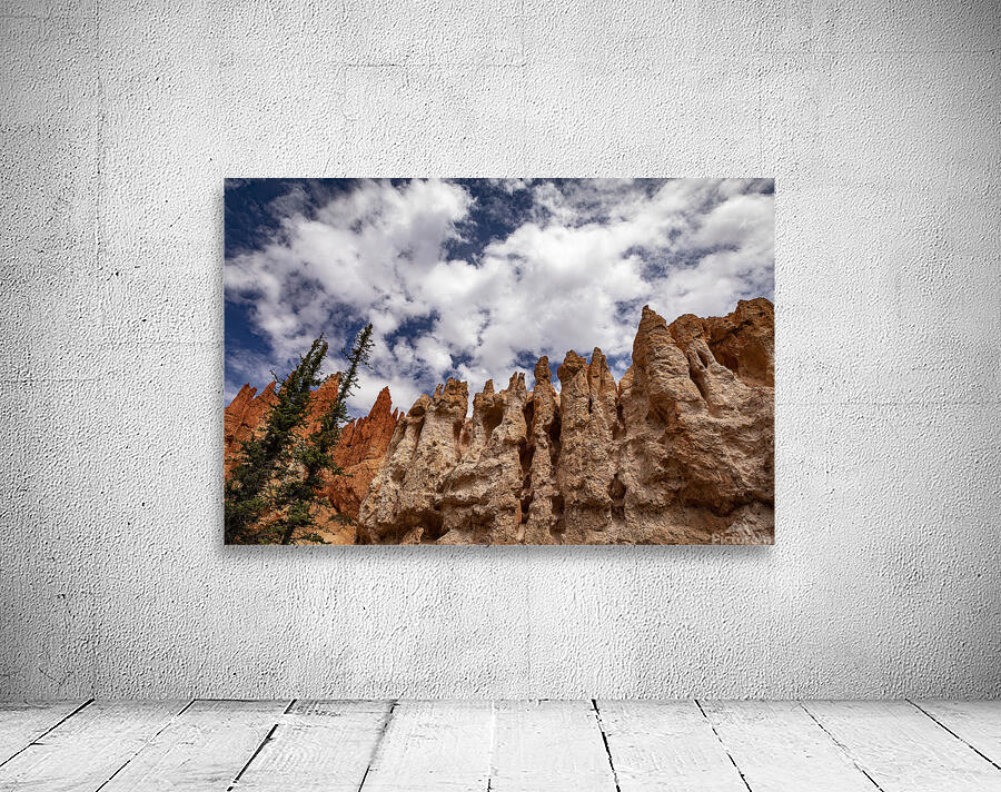Towering Bryce Wall Preview