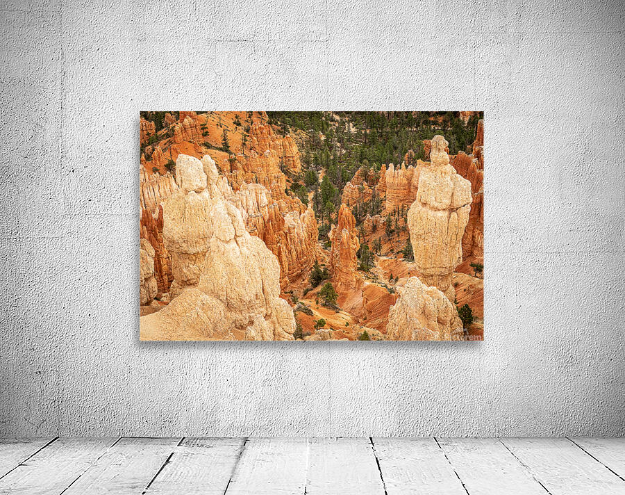 Bryce Canyon National Park Wall Preview