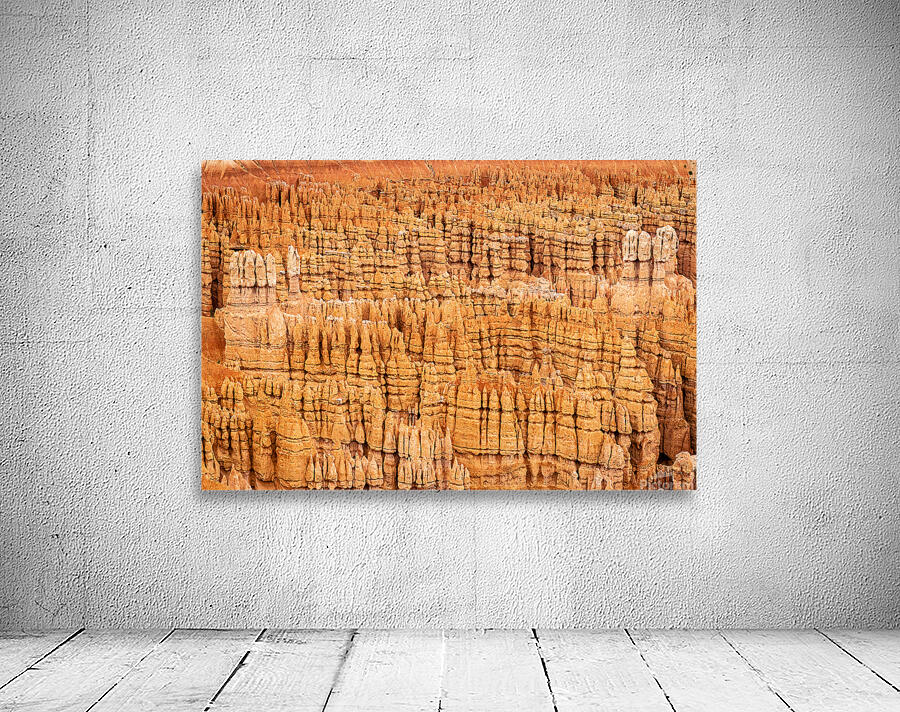 Hoodoo Nation Wall Preview