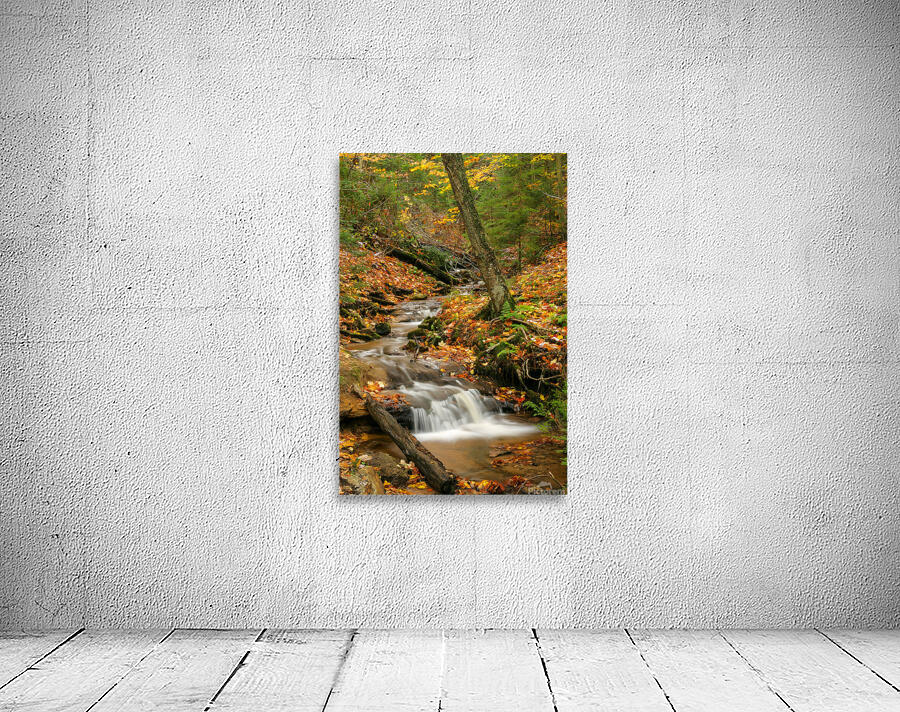 Streams of Michigan Wall Preview