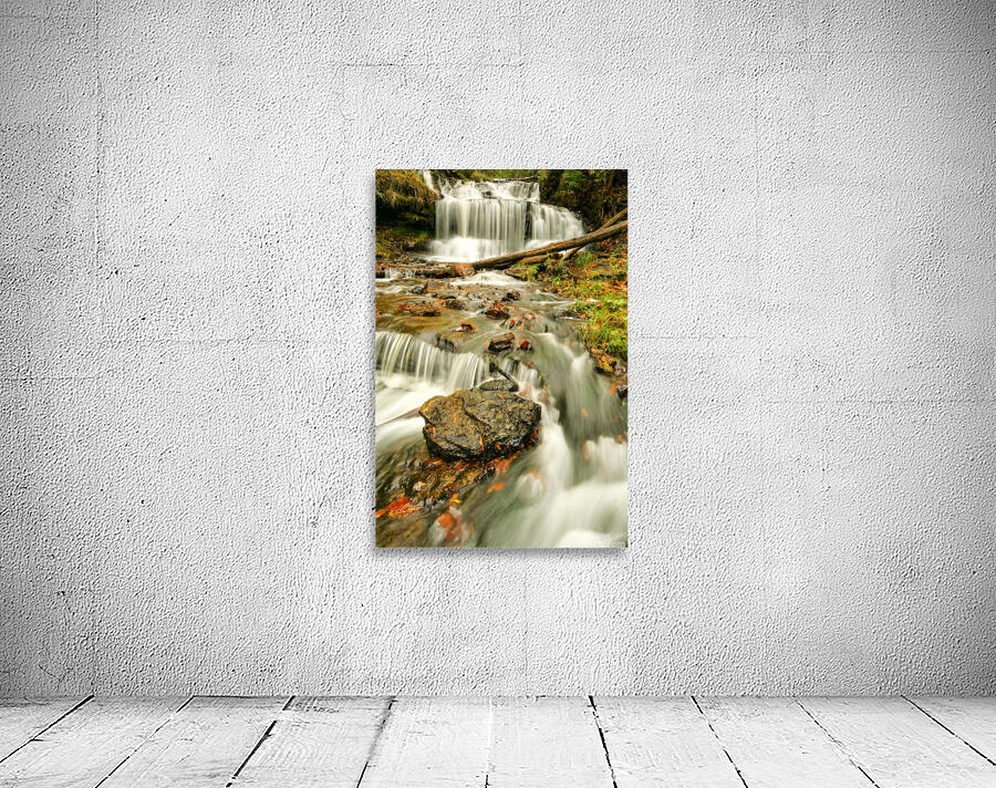 Splendors of Fall Wall Preview