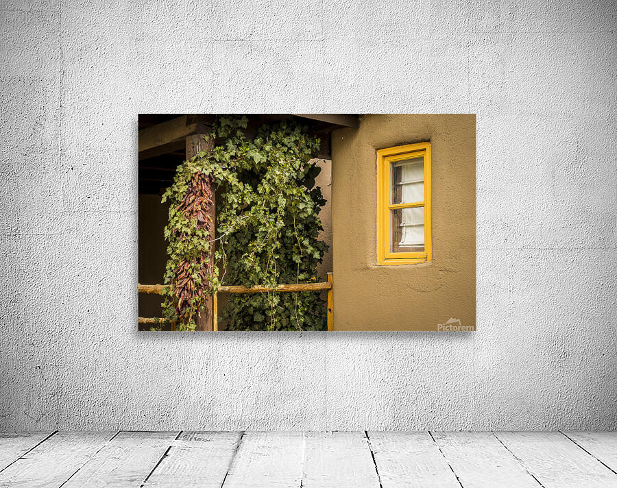 Santa Fe Chili Peppers Wall Preview