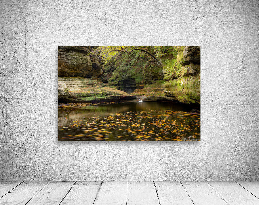 Fall In the Canyon Wall Preview