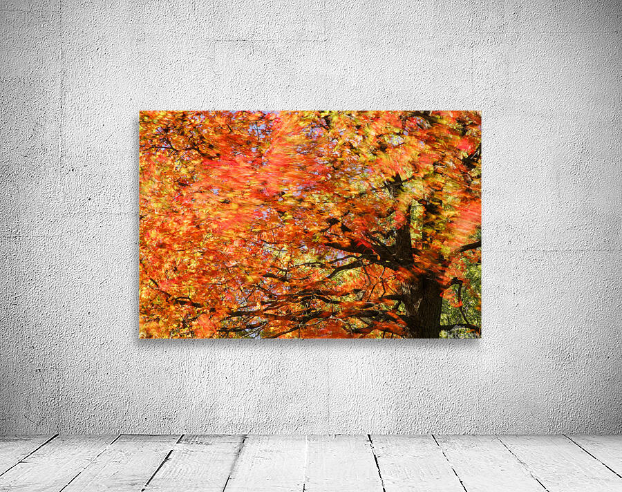 Tree on Fire Wall Preview