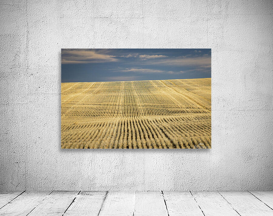 South Dakota Farm Country Wall Preview