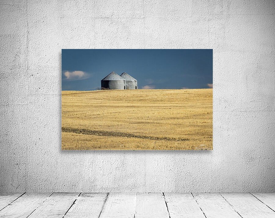 Farm Country USA Wall Preview