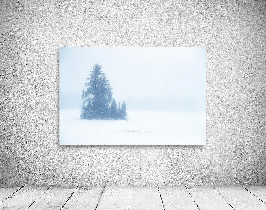 Snowy Frozen Minnesota Island Wall Preview