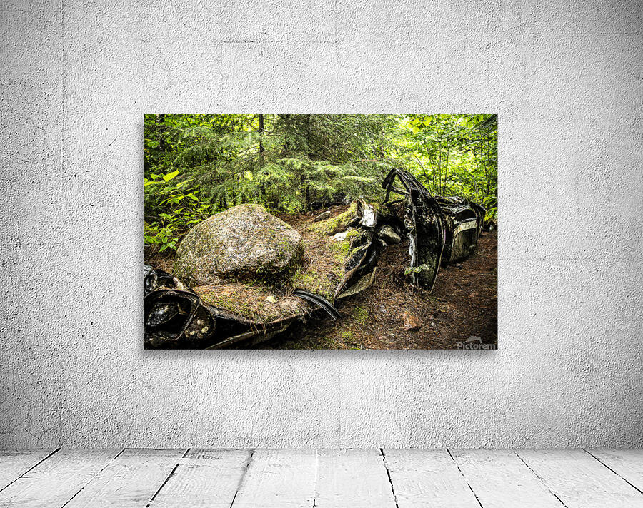 Boulder Car in Nature Wall Preview